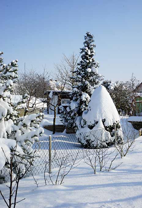 Winter in Allstedt